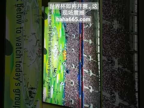 郑钦文澳网,首战展望,张盛期待她,北京单场官网,单场彩票,彩票平台,在线投注,数据分析